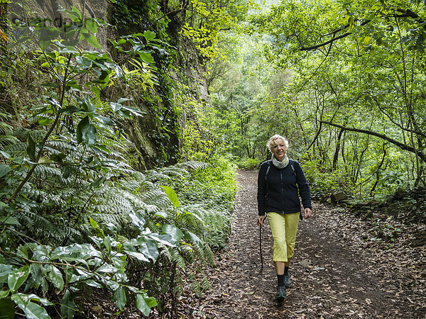 Eine Touristin wandert im Lorbeerwald von Los Tiles  La Palma  Kanarische Inseln  Spanien