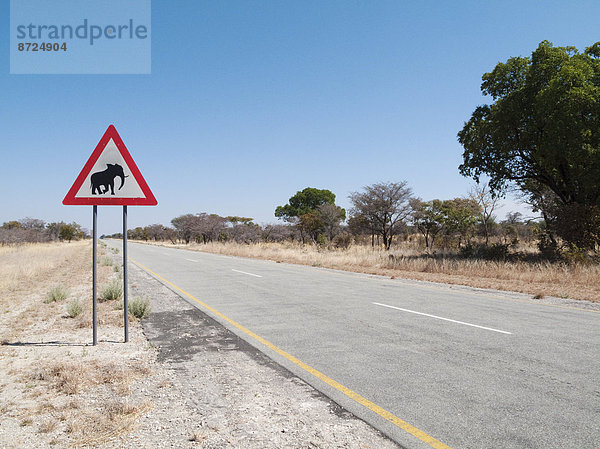 Verkehrszeichen  Warnung vor kreuzenden Elefanten an der Straße B8  Straßenabschnitt im Bwabwata-Nationalpark im Caprivi-Streifen  Region Caprivi  Namibia