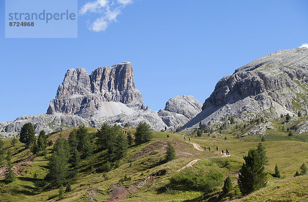 Wanderweg  Monte Averau  Falzarego-Pass  Dolomiten  Region Venetien  Provinz Belluno  Italien