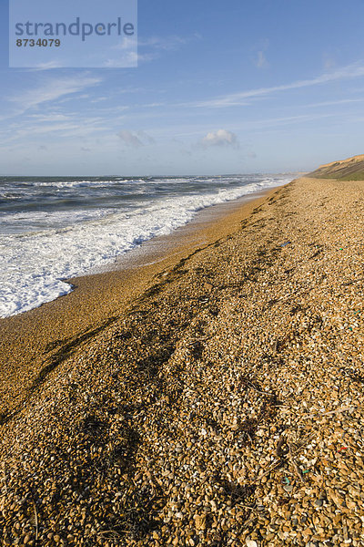 Meeresküste  Milford on Sea  Hampshire  England  Großbritannien