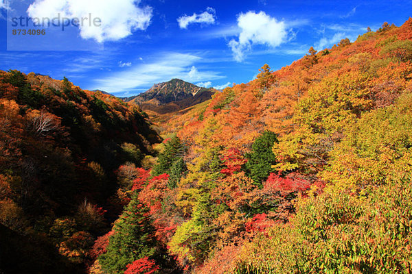 Laub Yamanashi Präfektur