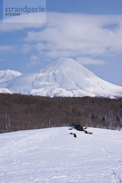 Hokkaido