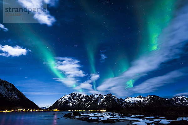 Polarlichter oder Aurora borealis  an der Küste von Gimsøy  Gimsøya  Lofoten  Norwegen