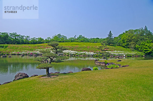 Japanischer Garten