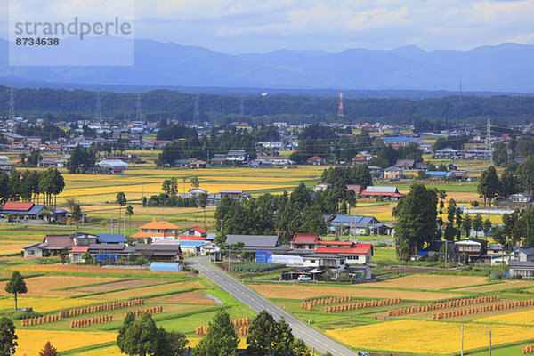 Iwate