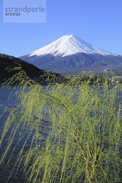 Ansicht  Berg  Fuji