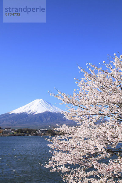 Ansicht  Berg  Fuji