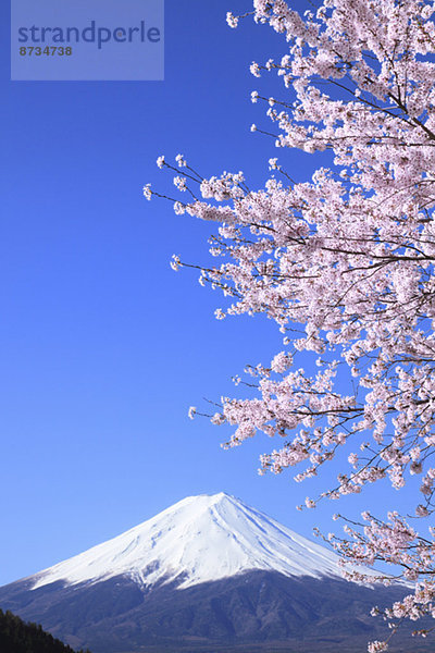 Ansicht  Berg  Fuji