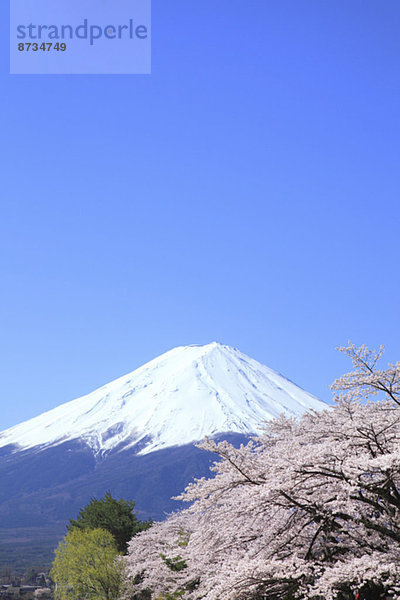 Ansicht  Berg  Fuji