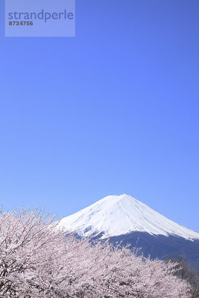 Ansicht  Berg  Fuji