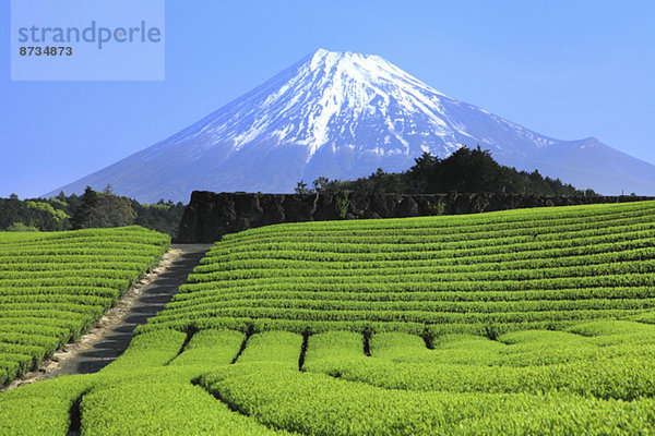 Ansicht  Berg  Fuji