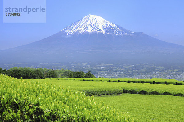 Ansicht  Berg  Fuji