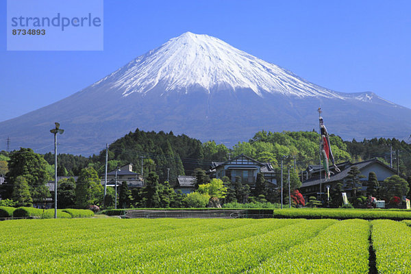 Ansicht Berg Fuji