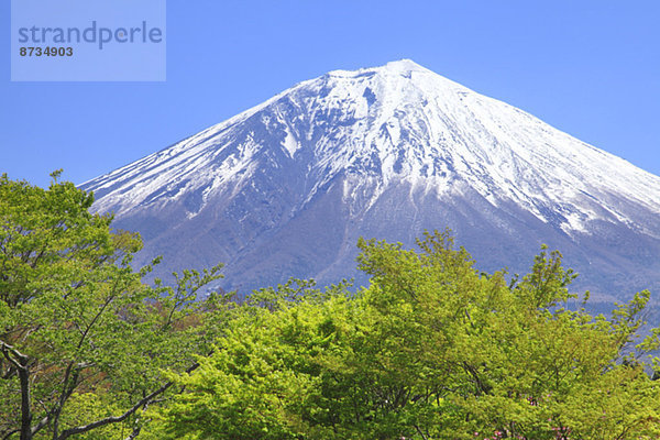 Ansicht  Berg  Fuji