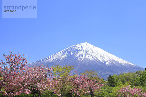 Ansicht  Berg  Fuji