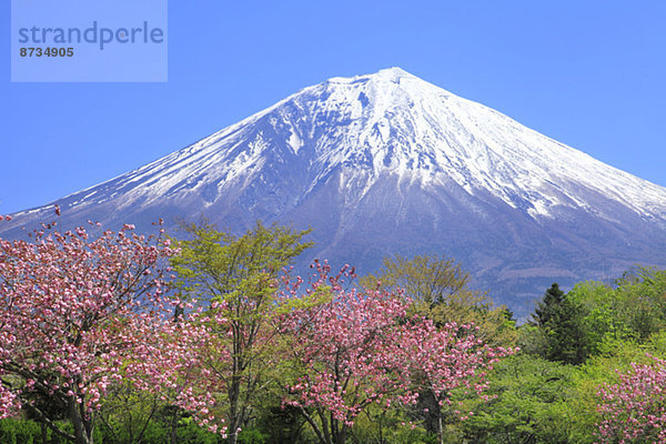 Ansicht  Berg  Fuji