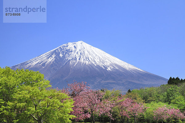 Ansicht  Berg  Fuji