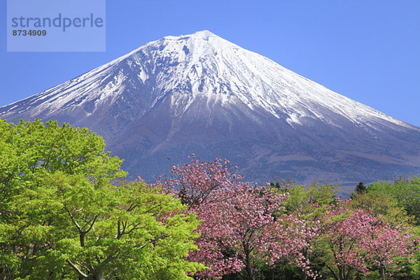 Ansicht  Berg  Fuji