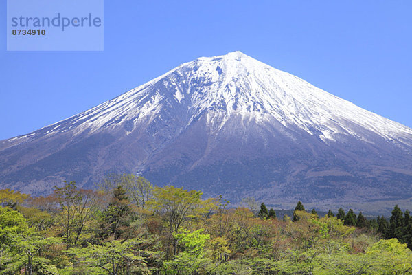 Ansicht  Berg  Fuji