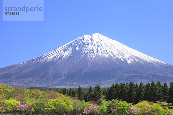 Ansicht  Berg  Fuji