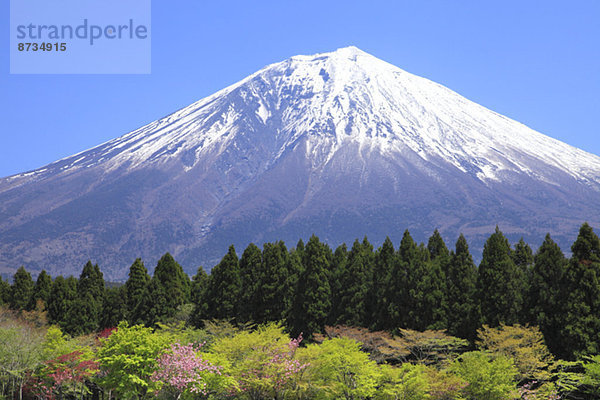 Ansicht  Berg  Fuji