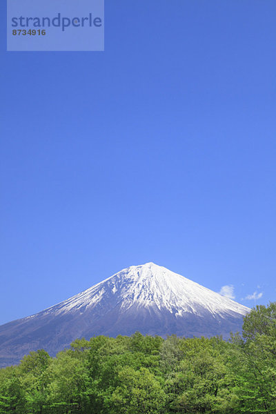 Ansicht  Berg  Fuji