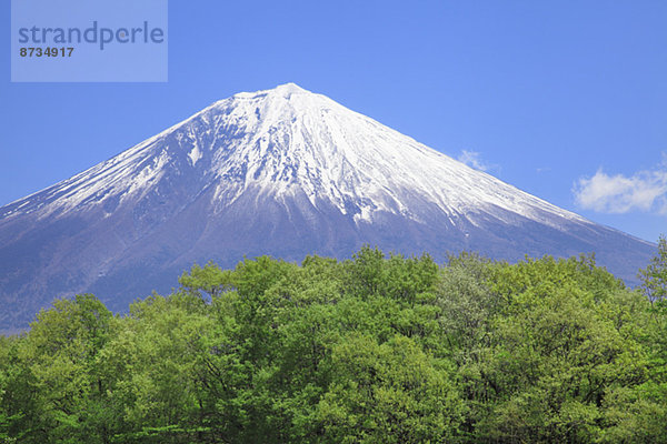 Ansicht  Berg  Fuji