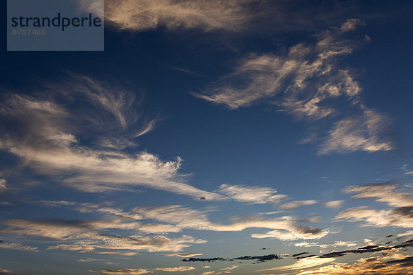 Cirrus-Wolken  Himmel bei Sonnenuntergang  Western Australia  Australien