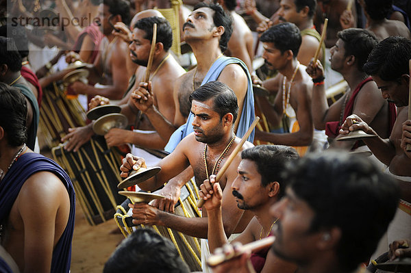 Musikanten bei hinduistischem Tempelfest  Thrissur  Kerala  Südindien  Indien