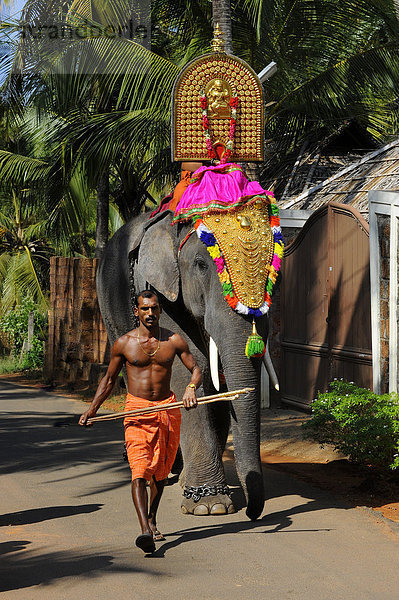 Geschmückter Tempelelefant mit Mahut  Thrissur  Kerala  Südindien  Indien