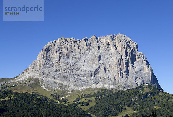 Langkofel  Grödner Joch  Dolomiten  Südtirol  Italien