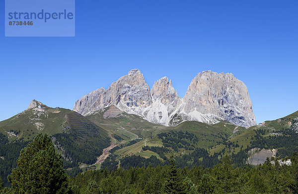 Langkofelgruppe  links Grohmannspitze  mitte Fünffingerspitze  rechts Langkofel  Passhöhe  Sellajoch  Dolomiten  Südtirol  Italien