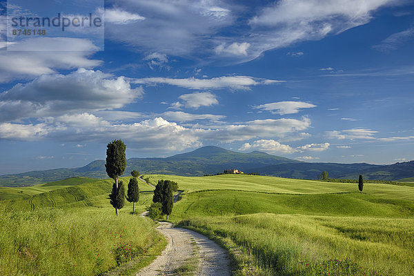 Italien  Pienza  Toskana