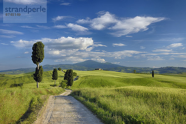 Italien  Pienza  Toskana