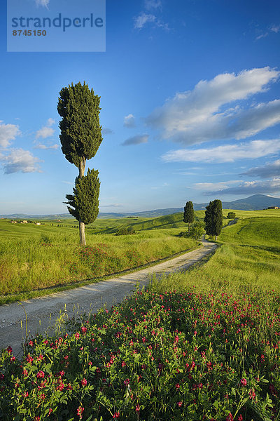 Italien  Pienza  Toskana