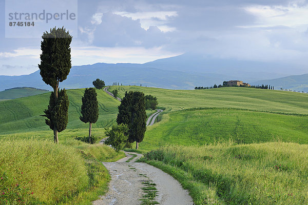 Italien  Pienza  Toskana  Val d'Orcia