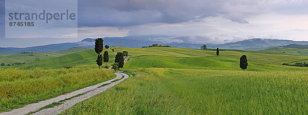 Italien  Pienza  Toskana  Val d'Orcia