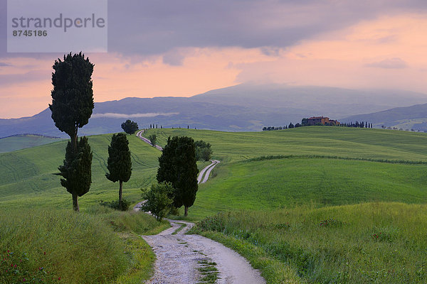 Sonnenuntergang  Italien  Pienza  Toskana  Val d'Orcia