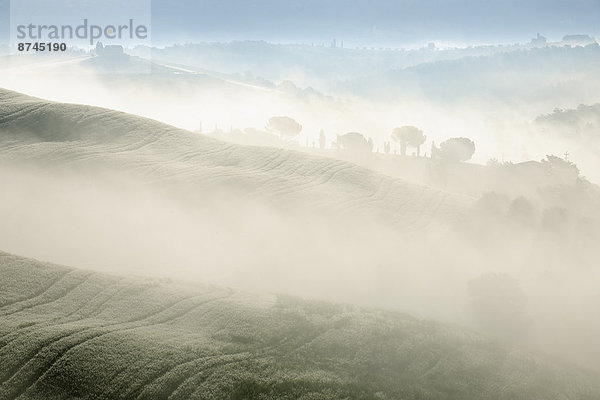 nahe  Morgen  Landschaft  Nebel  Toskana  typisch  Italien  Val d'Orcia
