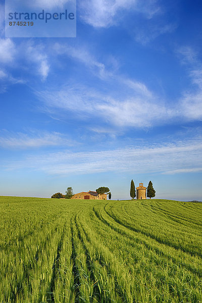 Bauernhaus  Baum  grün  Feld  Kapelle  Italien  Toskana