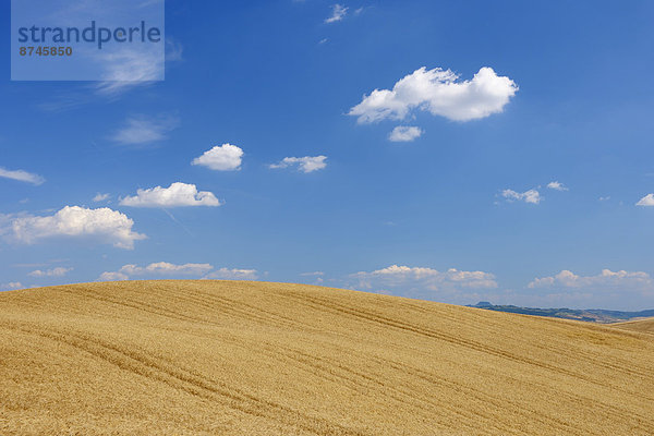 Wolke  Sommer  Himmel  Feld  Weizen  Italien  Toskana  Val d Orcia