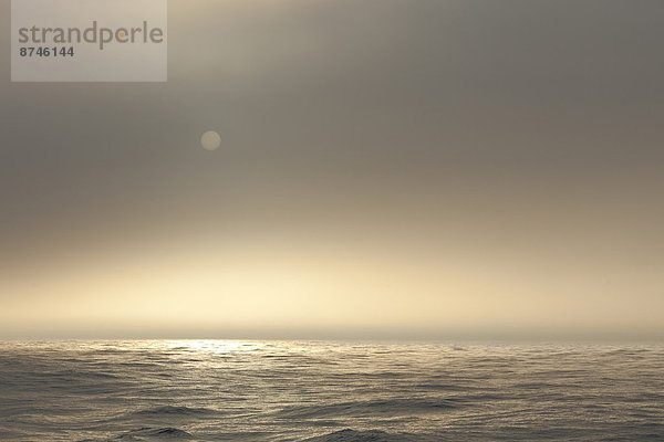 Wasser  Ozean  Tretboot  Meer  Nebel  Atlantischer Ozean  Atlantik