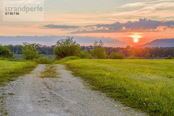 Sonnenuntergang  Landschaft  Bayern  Deutschland