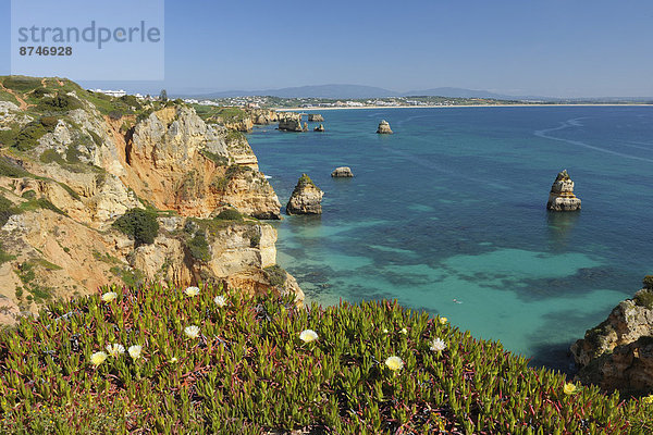 Felsen  Küste  Algarve  Lagos  Portugal