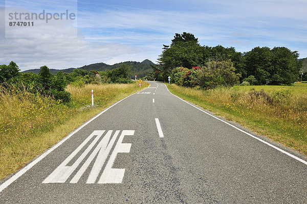 Landstraße  neuseeländische Südinsel  Collingwood  Neuseeland
