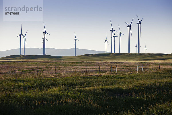 Vereinigte Staaten von Amerika USA Windturbine Windrad Windräder