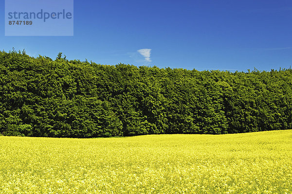 Mecklenburg-Vorpommern  Deutschland