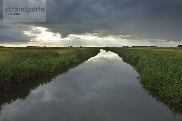 Sommer  Landschaft  Fluss  Feld  Deutschland  Schleswig-Holstein