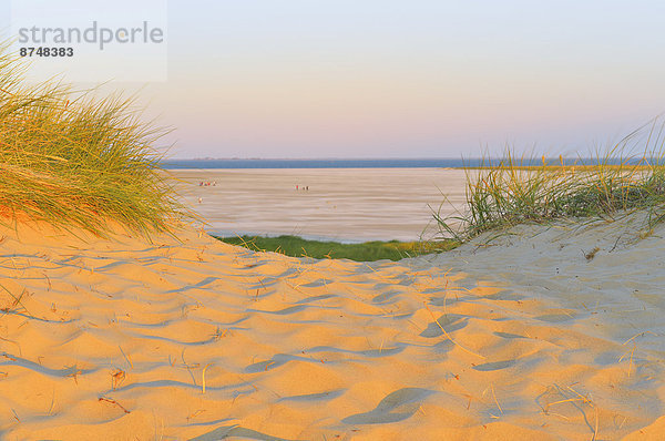 Sandbank  Sommer  Amrum  Deutschland  Kniepsand  Schleswig-Holstein  Wittdün