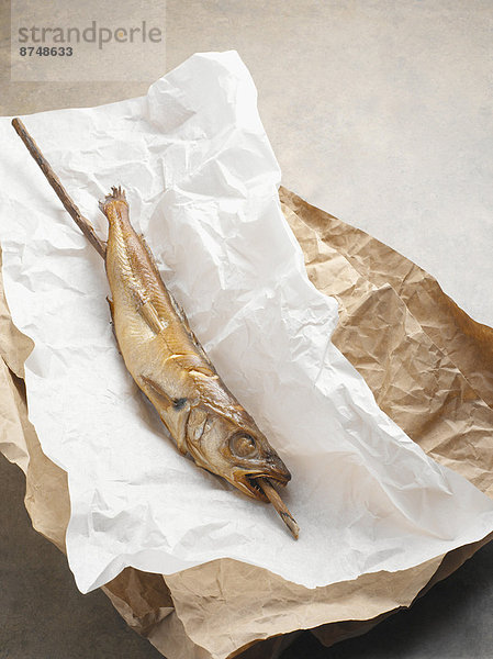 Hecht  Esox lucius  Studioaufnahme  Fisch  Pisces  Makrele  fettgebraten  Hecht  Holzstock  Stock